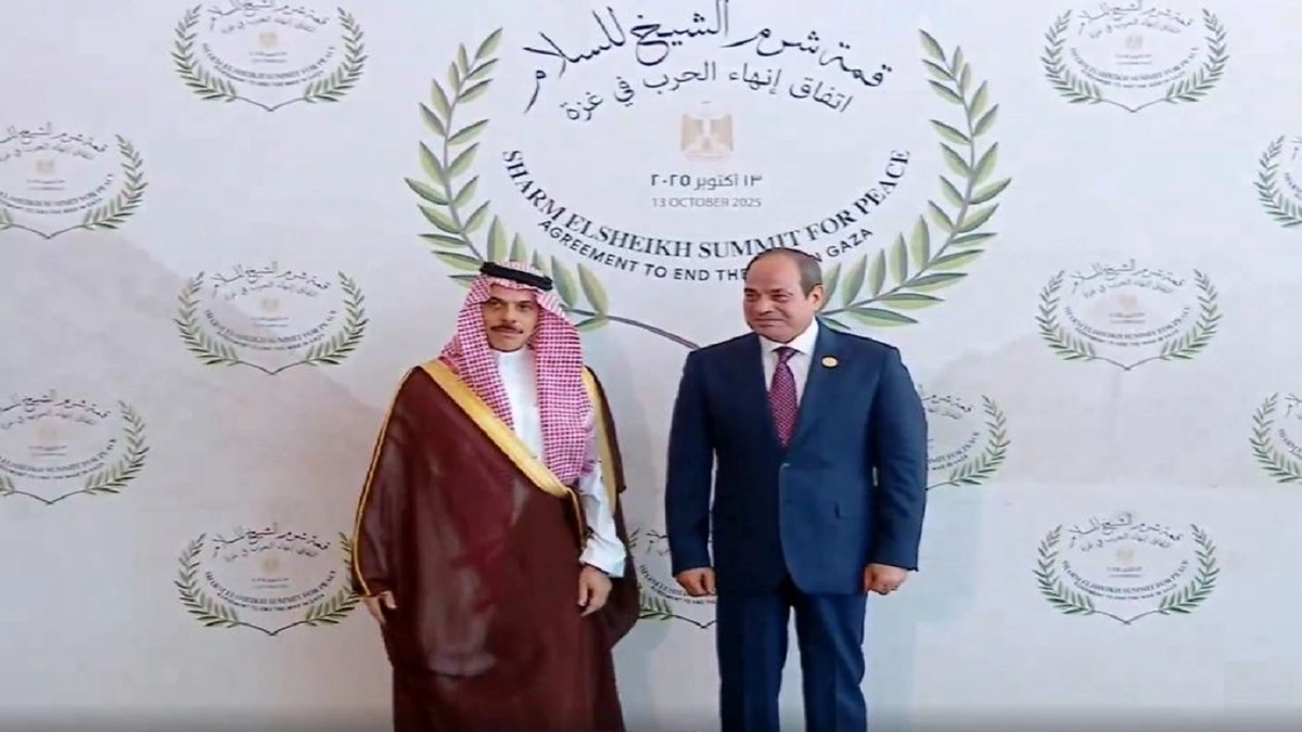 التقاط.JPG