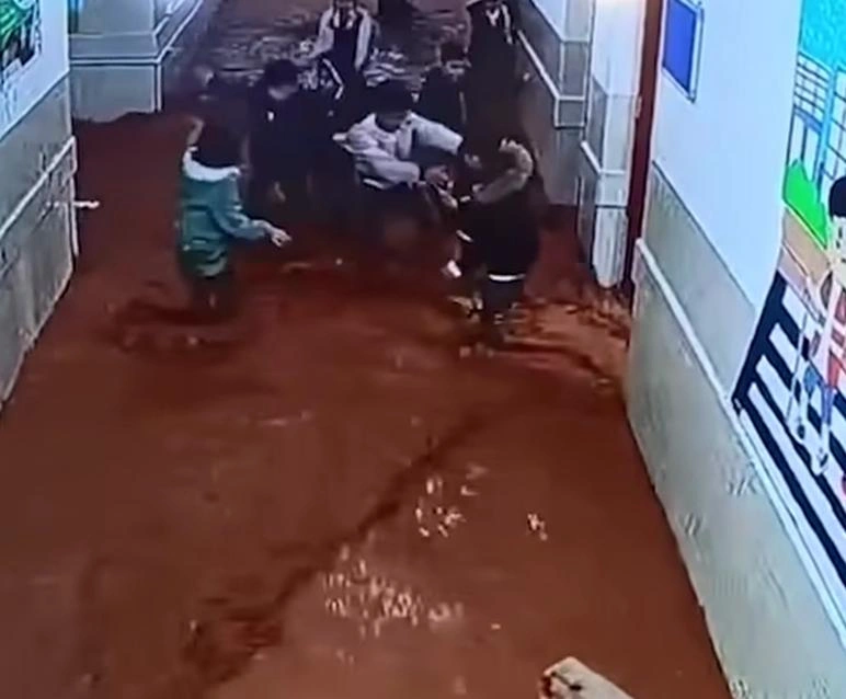 098f630c-9741-420f-9a5e-b95f15474f50.jpg 098f630c-9741-420f-9a5e-b95f15474f50.jpg