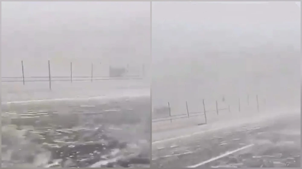 0ab5afbf-f921-49d0-82fc-fc6837cbe70e.jpg 0ab5afbf-f921-49d0-82fc-fc6837cbe70e.jpg