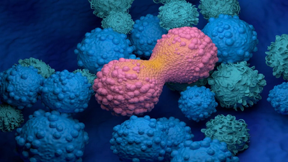 1232283f-aa8e-487c-90c0-ac4c5909da9a.jpg 1232283f-aa8e-487c-90c0-ac4c5909da9a.jpg