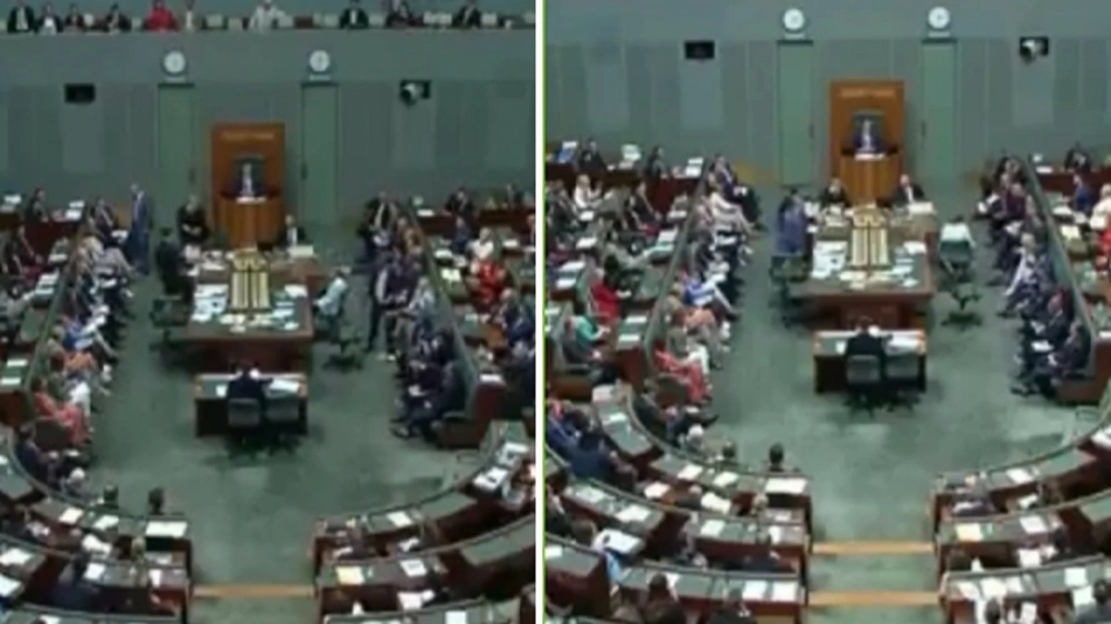 14689b94-8329-462e-b100-878b21018d31.jpg 14689b94-8329-462e-b100-878b21018d31.jpg