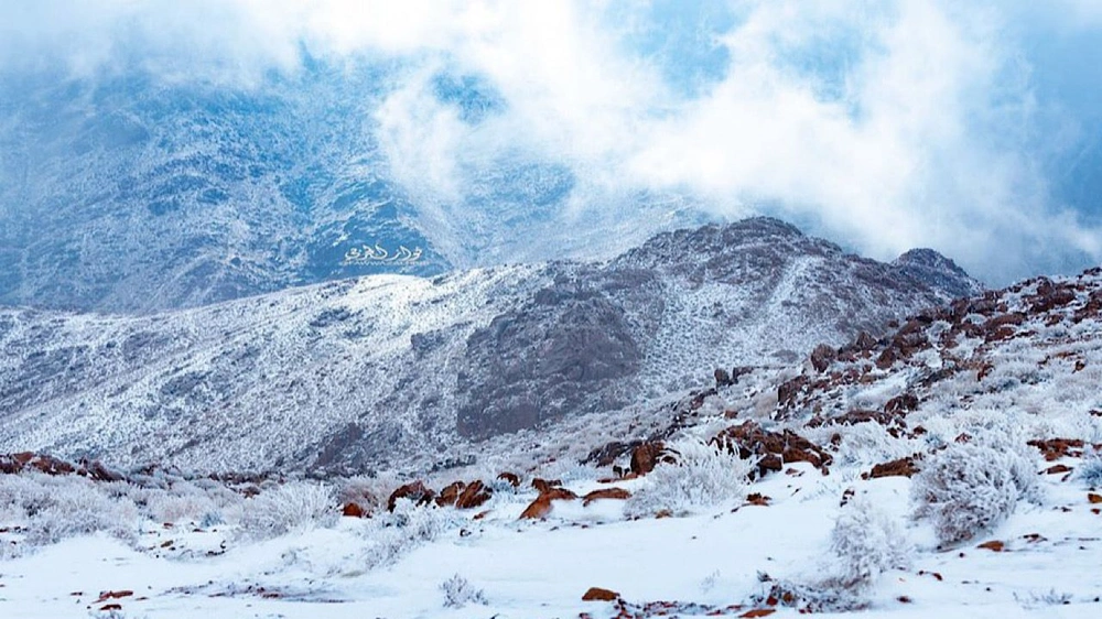 1daa94ad-6372-4221-b55f-8db10ad072b6.jpg 1daa94ad-6372-4221-b55f-8db10ad072b6.jpg