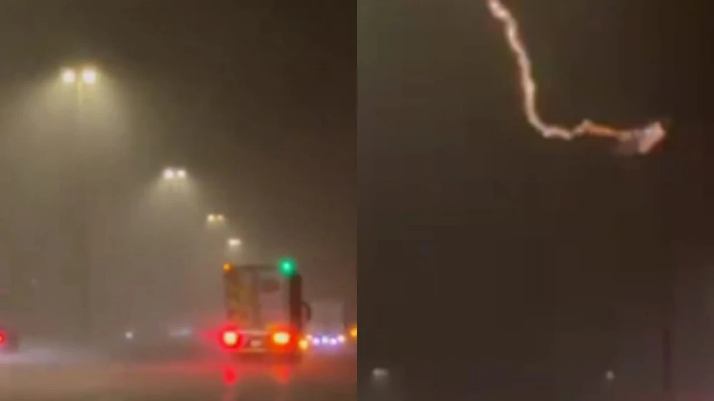 230cef59-6a3e-4a5e-8cbb-531a46b27010 (1).jpg