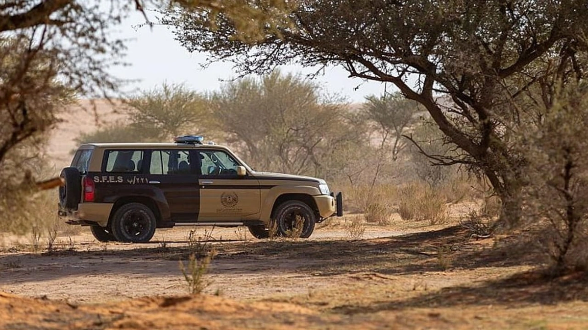 23d80c40-2fce-40e5-a026-115aede88eb6.jpg 23d80c40-2fce-40e5-a026-115aede88eb6.jpg