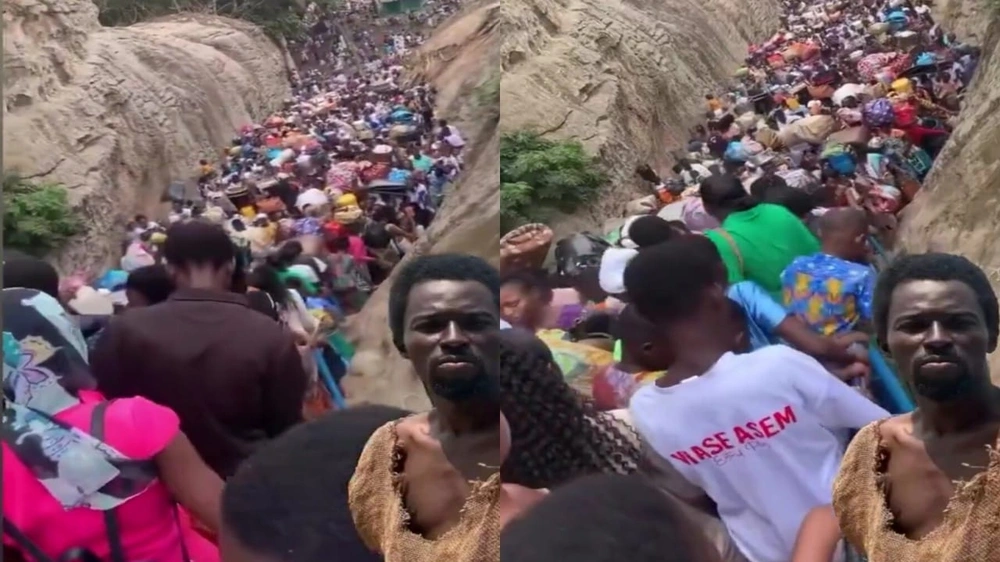 246b2111-31a1-4d48-a36e-c1d40b03bf72.jpg 246b2111-31a1-4d48-a36e-c1d40b03bf72.jpg