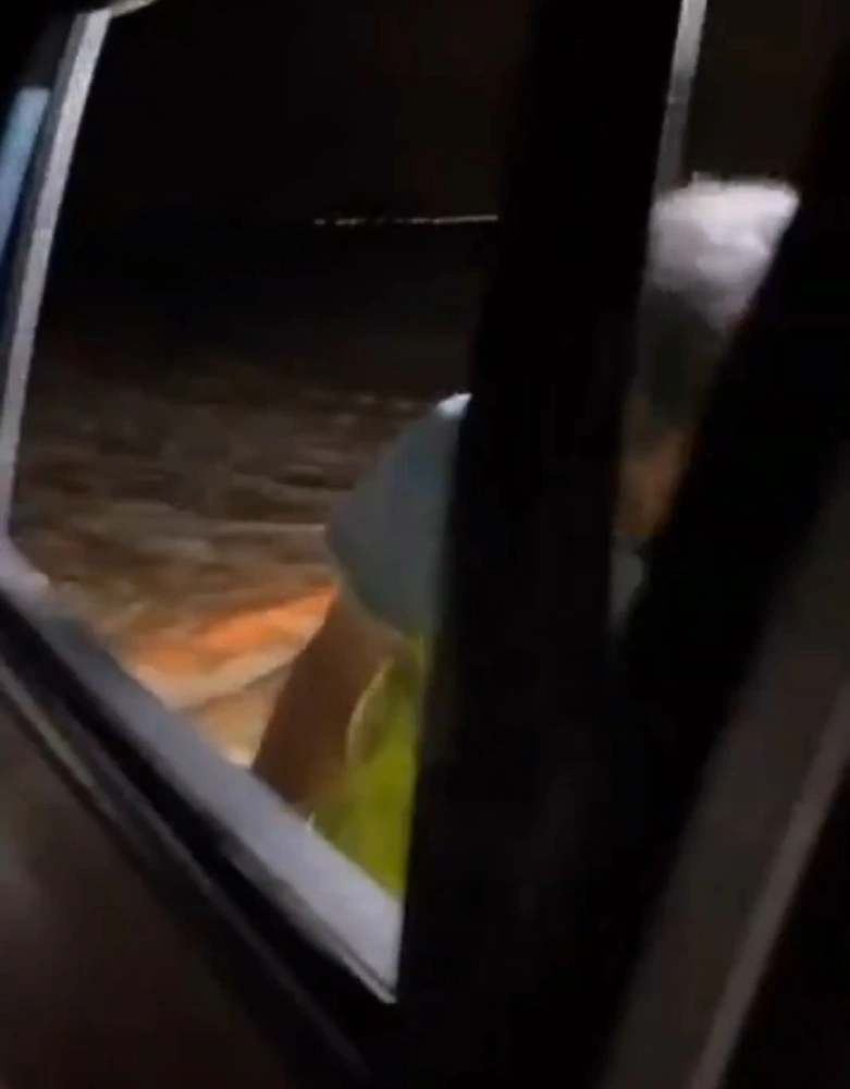 24b3bf04-2638-42de-884d-c2e300ee9e59.jpg 24b3bf04-2638-42de-884d-c2e300ee9e59.jpg