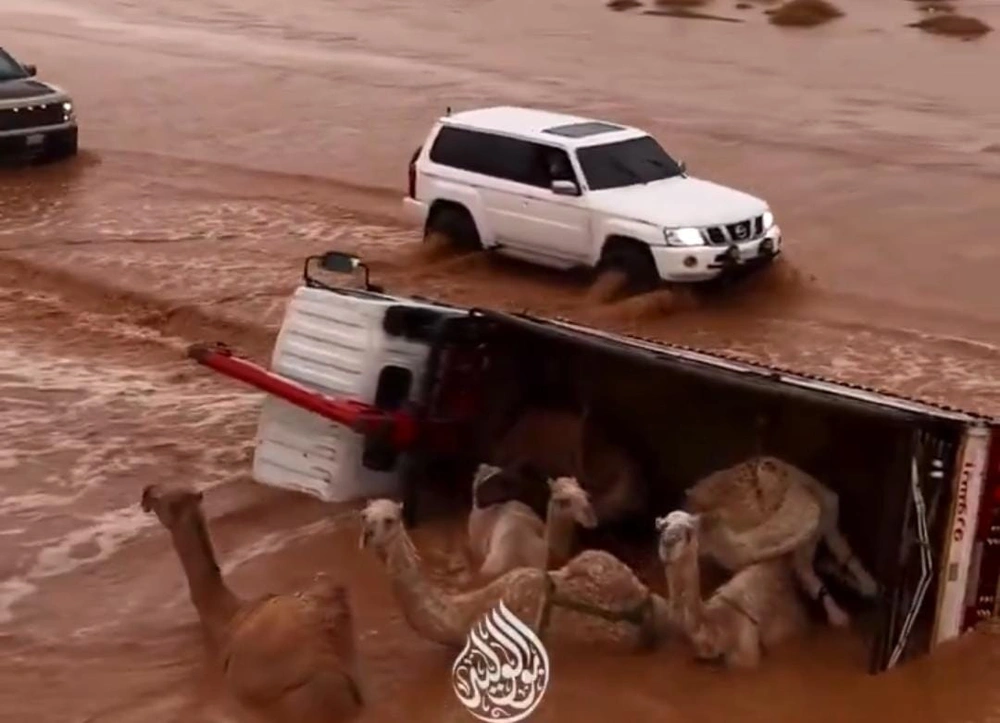 26c3276c-98f7-4d00-8e10-cc0c5d4d9910.jpg 26c3276c-98f7-4d00-8e10-cc0c5d4d9910.jpg