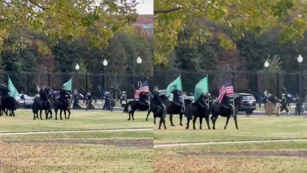 29efdd12-d1c1-4808-a86d-11c70a6bab65.jpg 29efdd12-d1c1-4808-a86d-11c70a6bab65.jpg