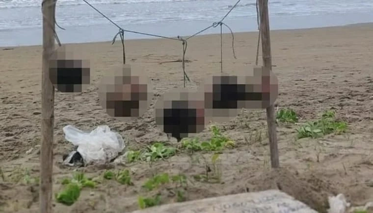 2d3afb02-4cfa-4126-a60a-b2c0be809ba7.jpg 2d3afb02-4cfa-4126-a60a-b2c0be809ba7.jpg