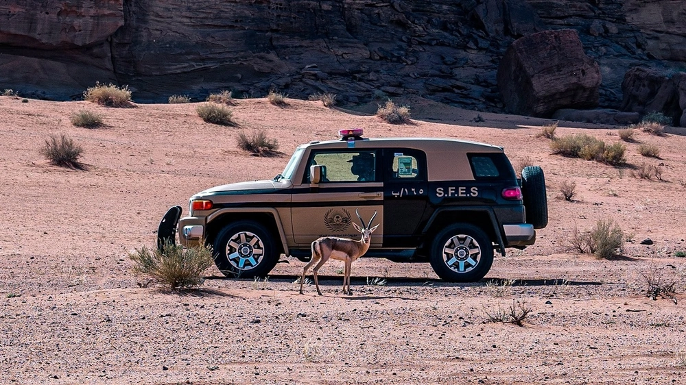 30990a60-04e2-44c0-8275-2bb028879717.jpg 30990a60-04e2-44c0-8275-2bb028879717.jpg