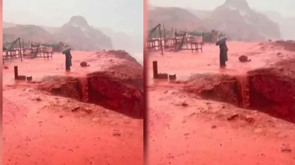 31f7fec5-78b0-4070-b40e-d1e8bd98a210.jpg 31f7fec5-78b0-4070-b40e-d1e8bd98a210.jpg