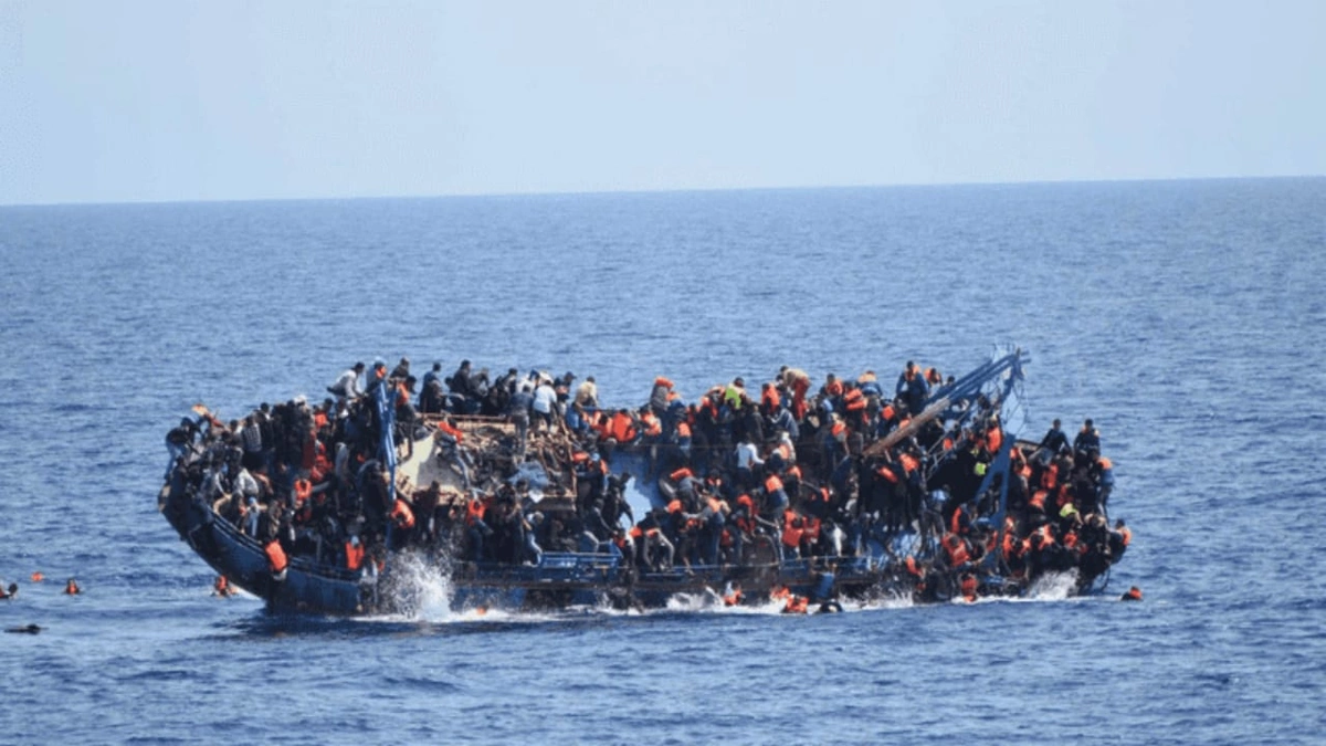 33e2e3f7-a753-4e76-b88a-4abdddea480d.jpg 33e2e3f7-a753-4e76-b88a-4abdddea480d.jpg