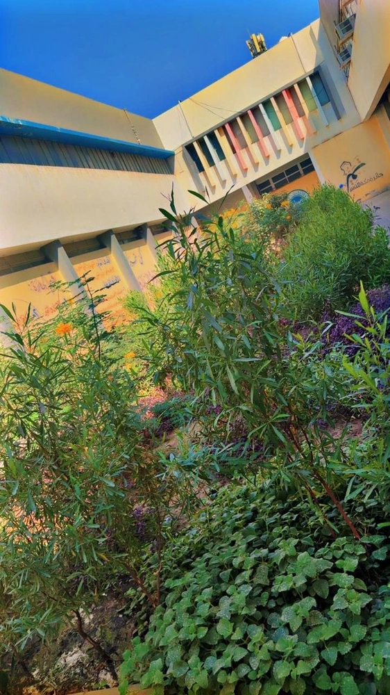 3745b526-659d-4f57-9141-ad2d548f9910.jpg 3745b526-659d-4f57-9141-ad2d548f9910.jpg