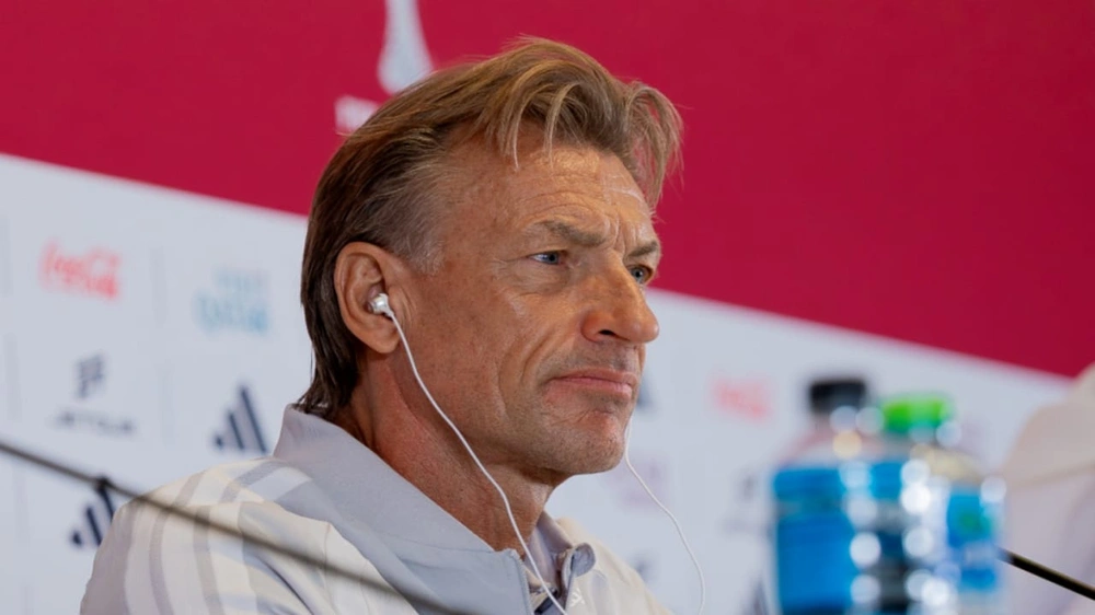 3c774296-af0d-4f65-9b5d-ff9a0a03ec69.jpg 3c774296-af0d-4f65-9b5d-ff9a0a03ec69.jpg