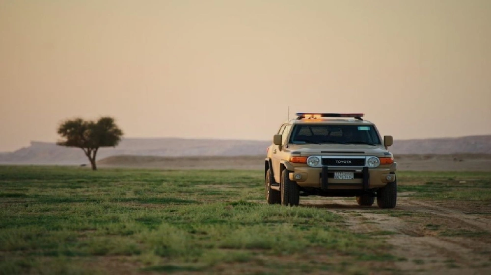 4177d21b-dedc-48d9-85f5-e85c85b09393.jpg 4177d21b-dedc-48d9-85f5-e85c85b09393.jpg