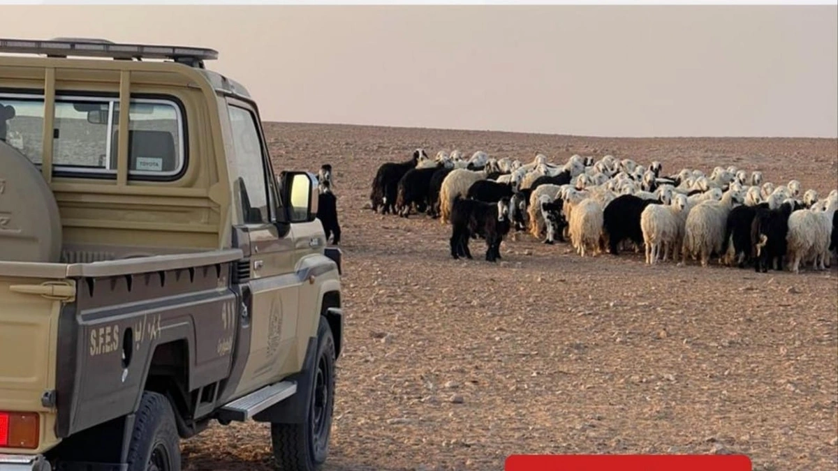 46bcc075-aa16-4618-85a7-6206f1aac934.jpg 46bcc075-aa16-4618-85a7-6206f1aac934.jpg