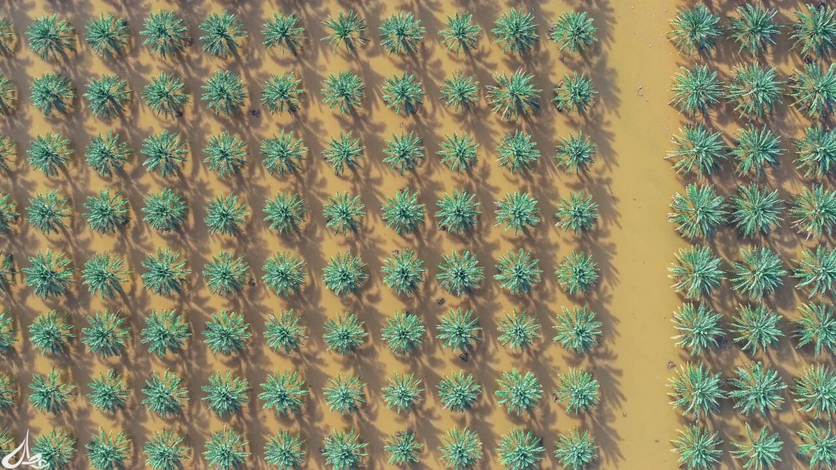 4820ac5f-ece5-45e6-b89b-feb8f7c9e8c2.jpg