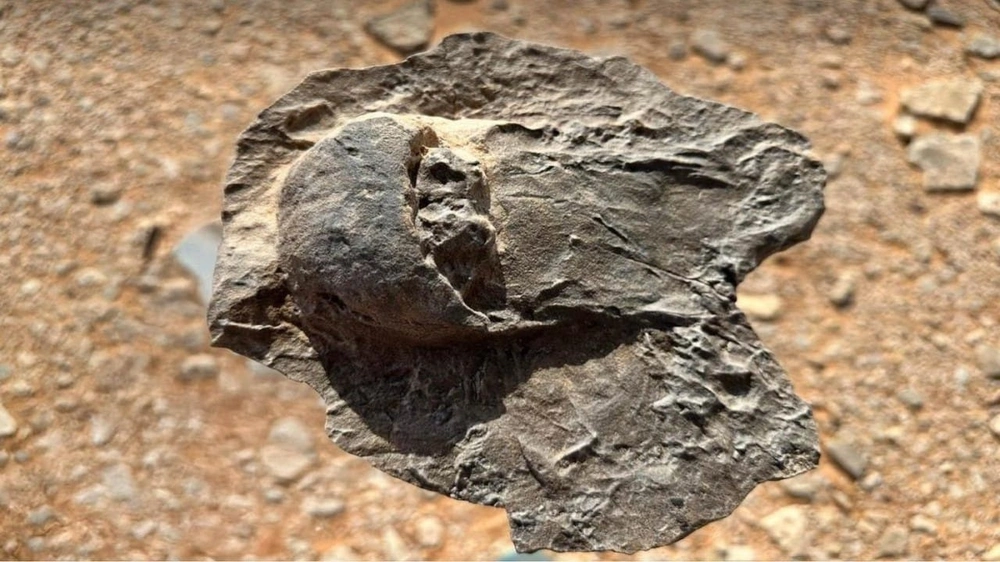 495c1fe3-0b4e-4e25-ad40-99c5826568e1.jpg 495c1fe3-0b4e-4e25-ad40-99c5826568e1.jpg