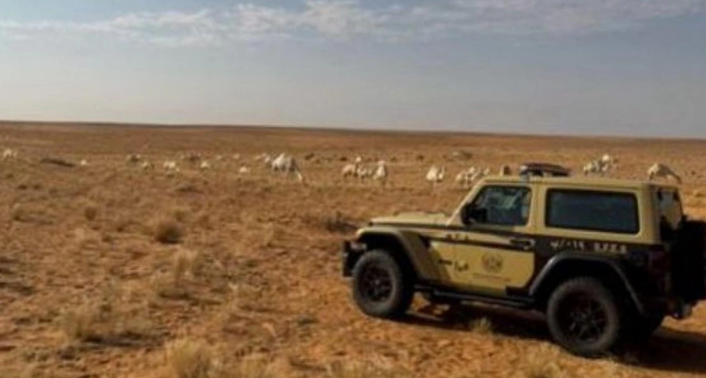 4c1c7502-b29e-4d1b-a5cd-64086f6132e5.jpg 4c1c7502-b29e-4d1b-a5cd-64086f6132e5.jpg