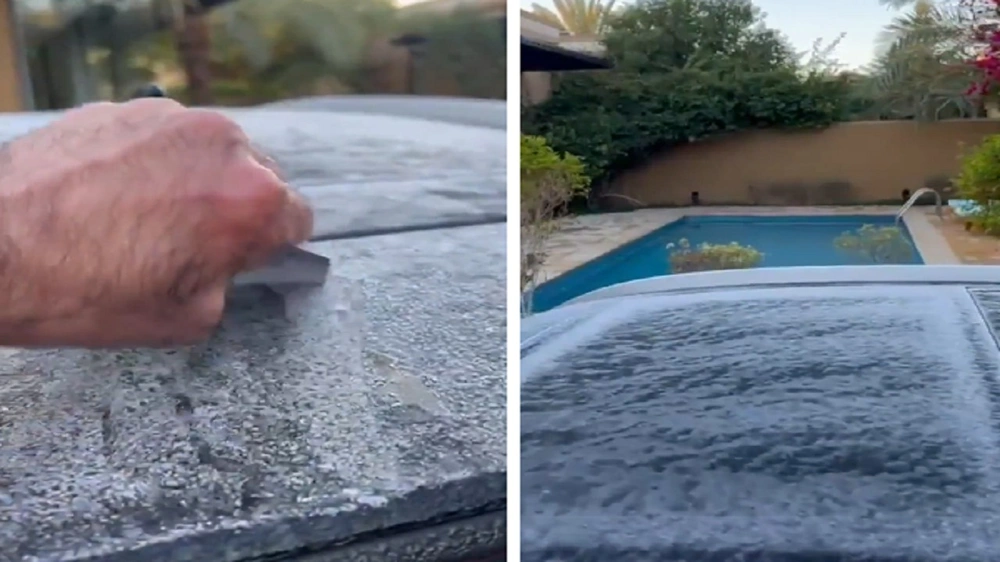 4f547a98-b361-46da-89c0-236984d3ffe5.jpg 4f547a98-b361-46da-89c0-236984d3ffe5.jpg