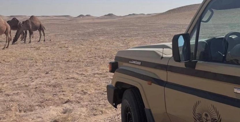 51cc6f6f-cba3-4bac-82ea-0d201af665e6.jpg 51cc6f6f-cba3-4bac-82ea-0d201af665e6.jpg