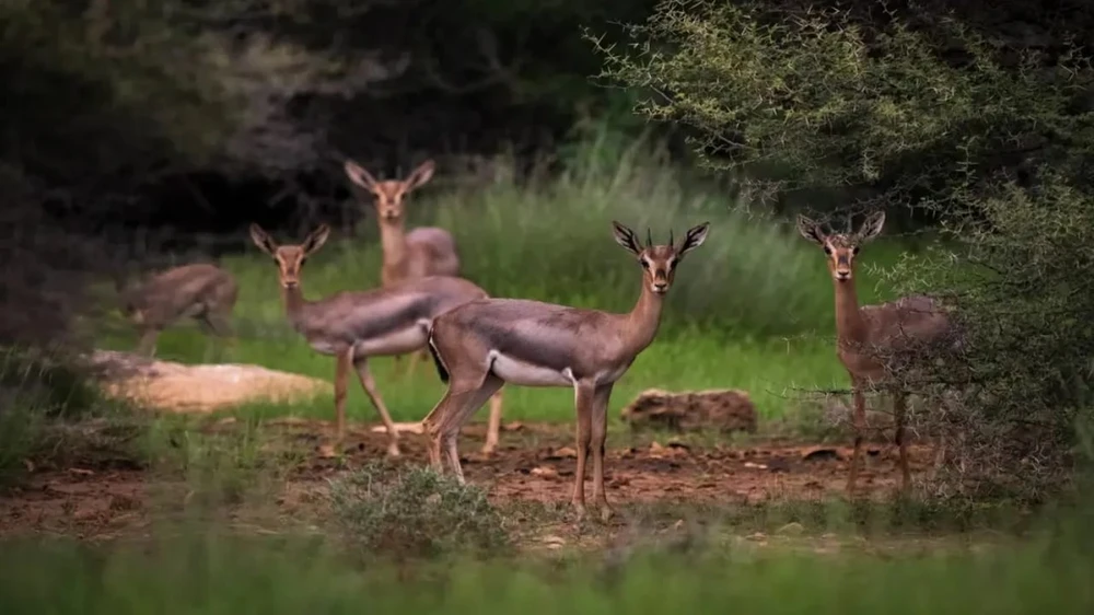 53d835c5-ca79-4fb2-bef7-05672d5a2a07.jpg 53d835c5-ca79-4fb2-bef7-05672d5a2a07.jpg