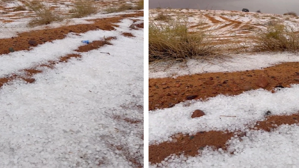 649b53bd-5727-4a8f-8ae1-41e64d79e86b.jpg 649b53bd-5727-4a8f-8ae1-41e64d79e86b.jpg