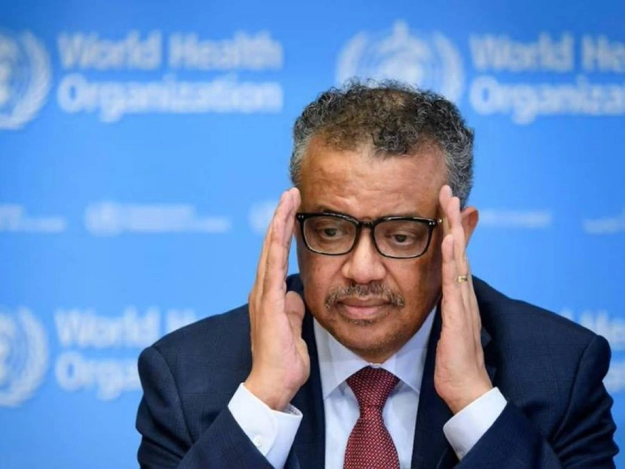 65628f2c-ec77-4124-9e6d-8cc4790caef5.jpg 65628f2c-ec77-4124-9e6d-8cc4790caef5.jpg