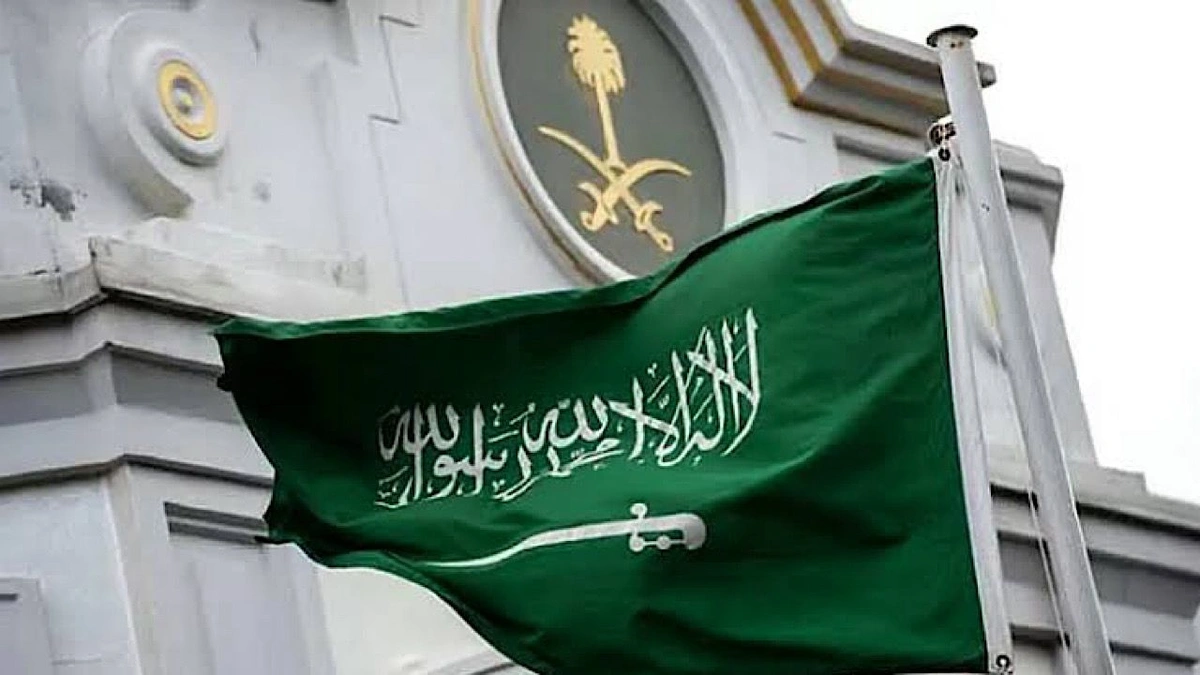 66648f9f-8414-4cbd-813f-3b024d0ba9cc.jpg 66648f9f-8414-4cbd-813f-3b024d0ba9cc.jpg