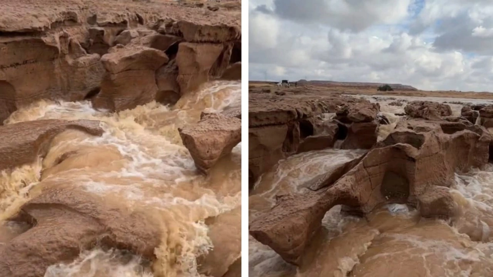 671efc1a-5f37-4be6-a896-dca52818c790.jpg 671efc1a-5f37-4be6-a896-dca52818c790.jpg