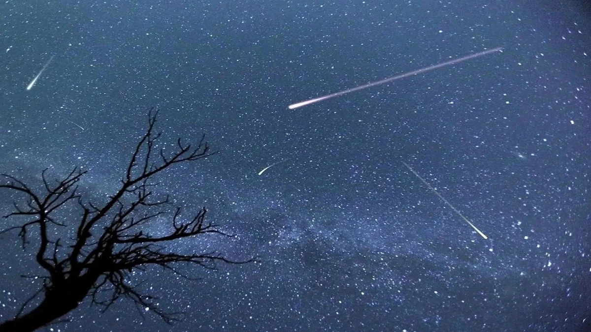 6806ea4e-9ece-4a86-8f93-53853fbd44a4.jpg 6806ea4e-9ece-4a86-8f93-53853fbd44a4.jpg