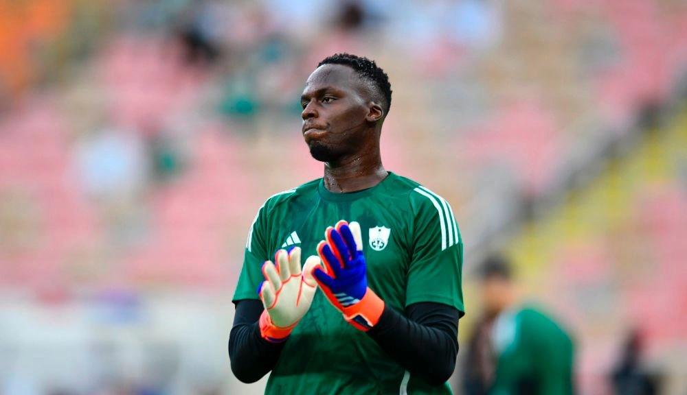 69d4e55e-a7b2-48f6-ae4f-0e70efadbe51.jpg 69d4e55e-a7b2-48f6-ae4f-0e70efadbe51.jpg