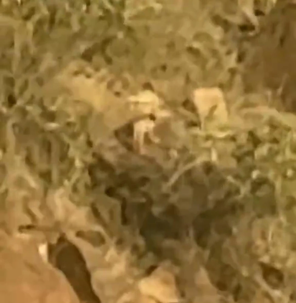 6a49c068-fe66-4aa5-a6f3-8fd7bf702c95.jpg 6a49c068-fe66-4aa5-a6f3-8fd7bf702c95.jpg