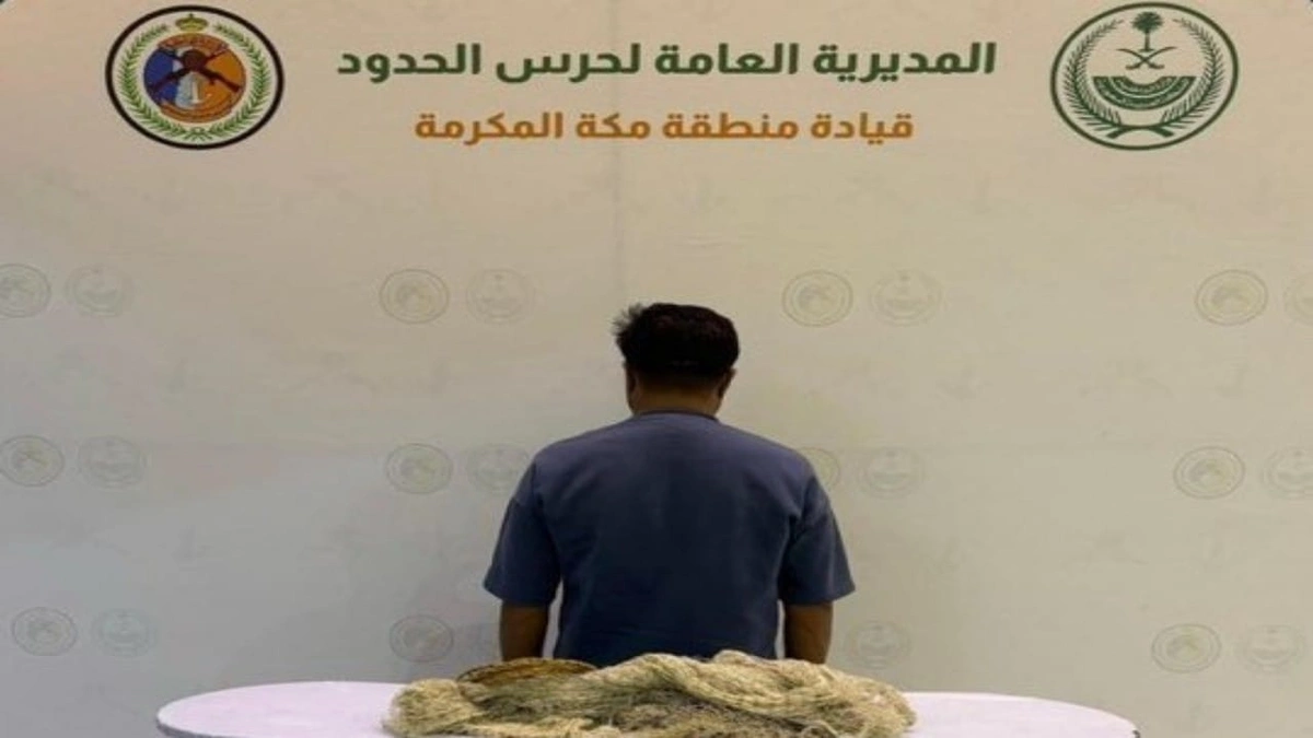 6d0bd412-a88f-4ea1-8dde-8560f89bb121.jpg 6d0bd412-a88f-4ea1-8dde-8560f89bb121.jpg