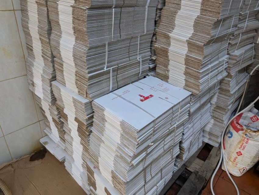 6d71952f-b422-47dd-bb93-7eb30126c799.jpg 6d71952f-b422-47dd-bb93-7eb30126c799.jpg