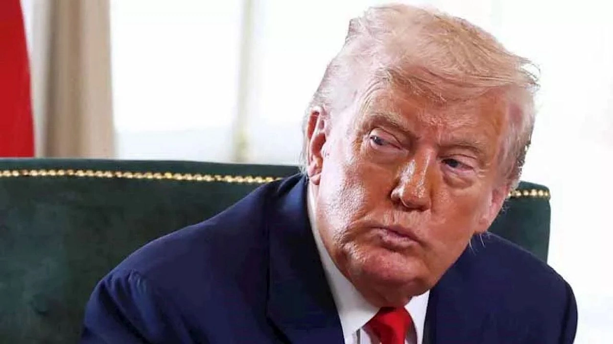 6ea2213b-0aa0-4cb1-8688-1e484f8ea3ca.jpg 6ea2213b-0aa0-4cb1-8688-1e484f8ea3ca.jpg