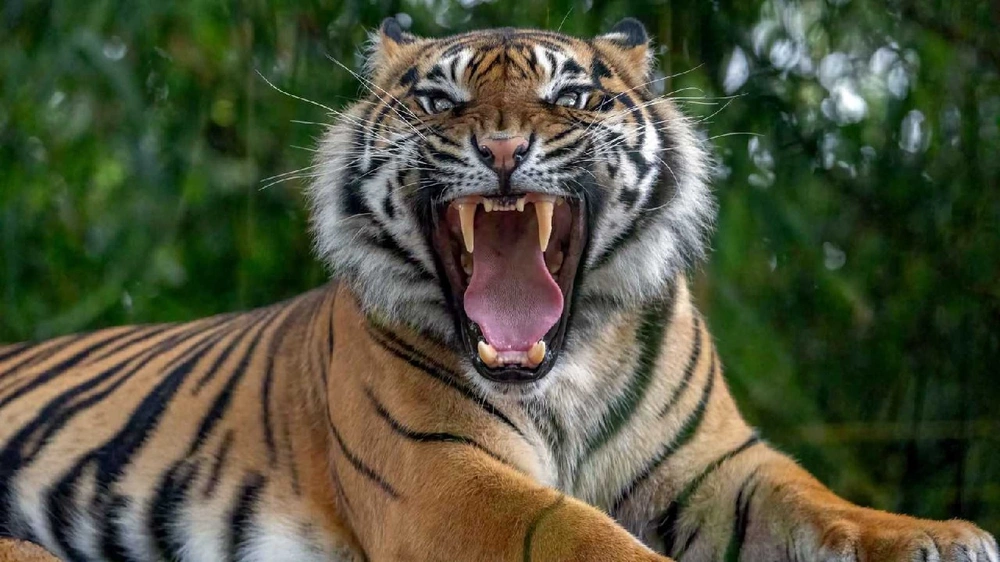 7816acf4-fb57-42fa-984f-1338bce0d151.jpg 7816acf4-fb57-42fa-984f-1338bce0d151.jpg