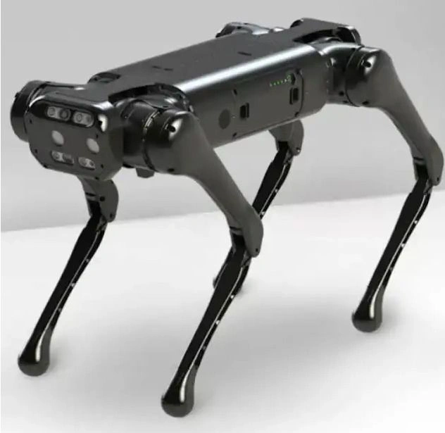 7b03db88-492d-4b9b-ad32-3aed8cfaad78.jpg 7b03db88-492d-4b9b-ad32-3aed8cfaad78.jpg