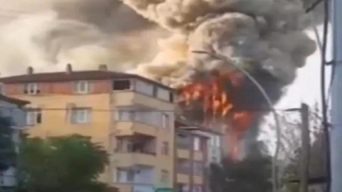 7daf02f6-1162-44ad-87dd-c35bbefce9a8.jpg 7daf02f6-1162-44ad-87dd-c35bbefce9a8.jpg