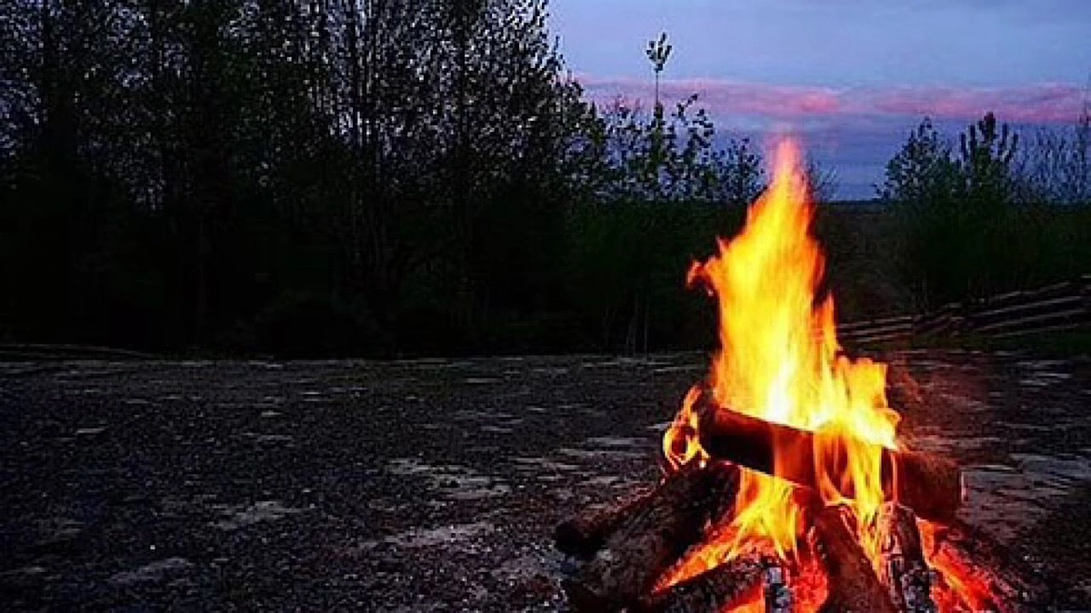 7e4d4e68-d83c-4b64-81ca-02bc9b4e923f.jpg 7e4d4e68-d83c-4b64-81ca-02bc9b4e923f.jpg