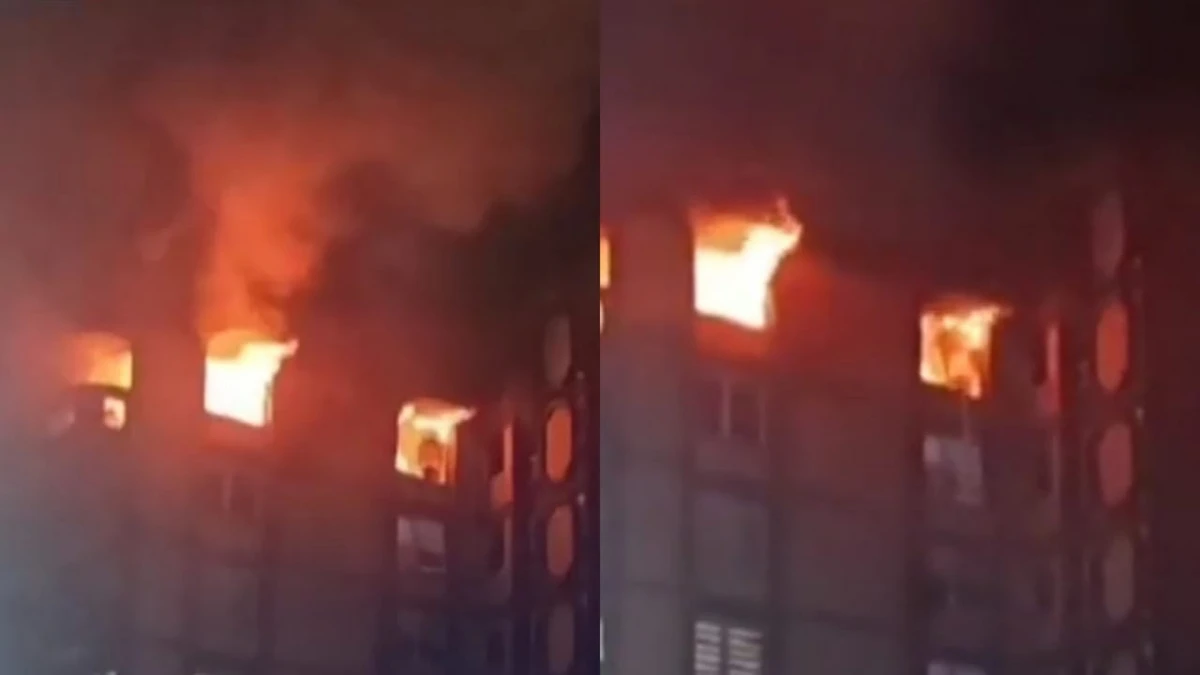 80308b97-86b3-400f-acab-903f069081a2.jpg 80308b97-86b3-400f-acab-903f069081a2.jpg