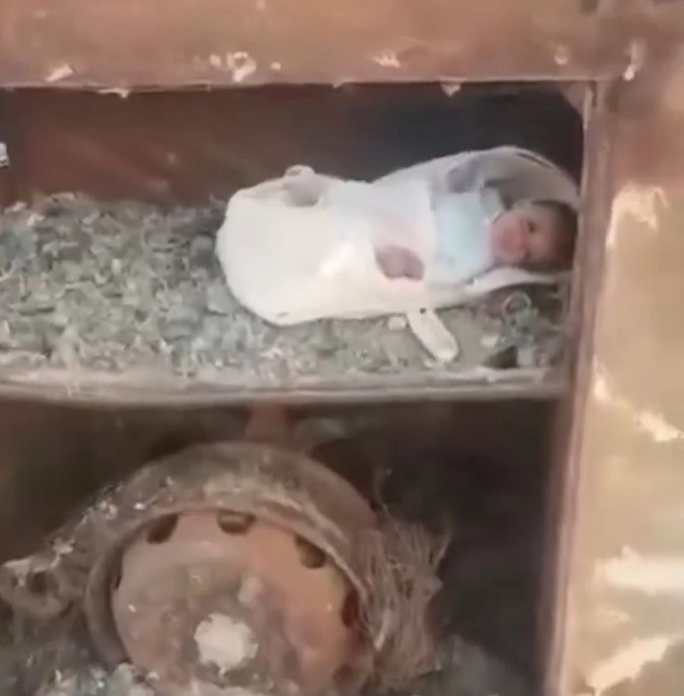 82094e06-a308-4c99-bbc6-4a0fcd003249.jpg 82094e06-a308-4c99-bbc6-4a0fcd003249.jpg