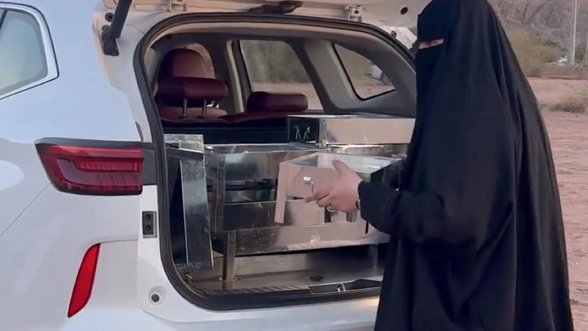 8341e8ce-5bad-4588-82f0-d9ec85c26326.jpg 8341e8ce-5bad-4588-82f0-d9ec85c26326.jpg