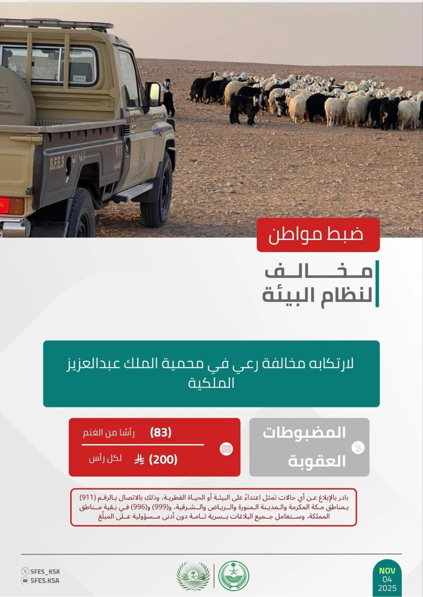 83606040-2f48-48c9-85d3-b94473b55466.jpg 83606040-2f48-48c9-85d3-b94473b55466.jpg