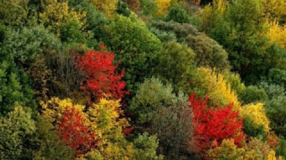 8365c862-72bd-4c81-ba56-5a205dabd423.jpg 8365c862-72bd-4c81-ba56-5a205dabd423.jpg