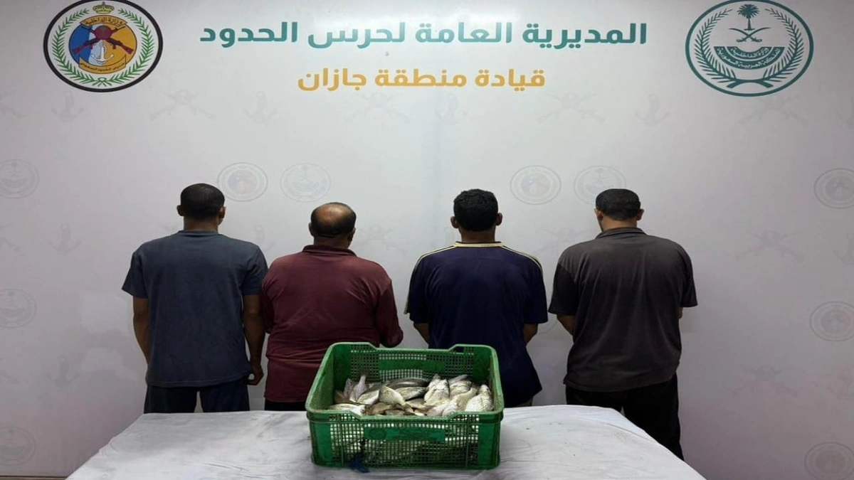 878ae448-7a3b-4d3c-895c-7518d777a0db.jpg 878ae448-7a3b-4d3c-895c-7518d777a0db.jpg