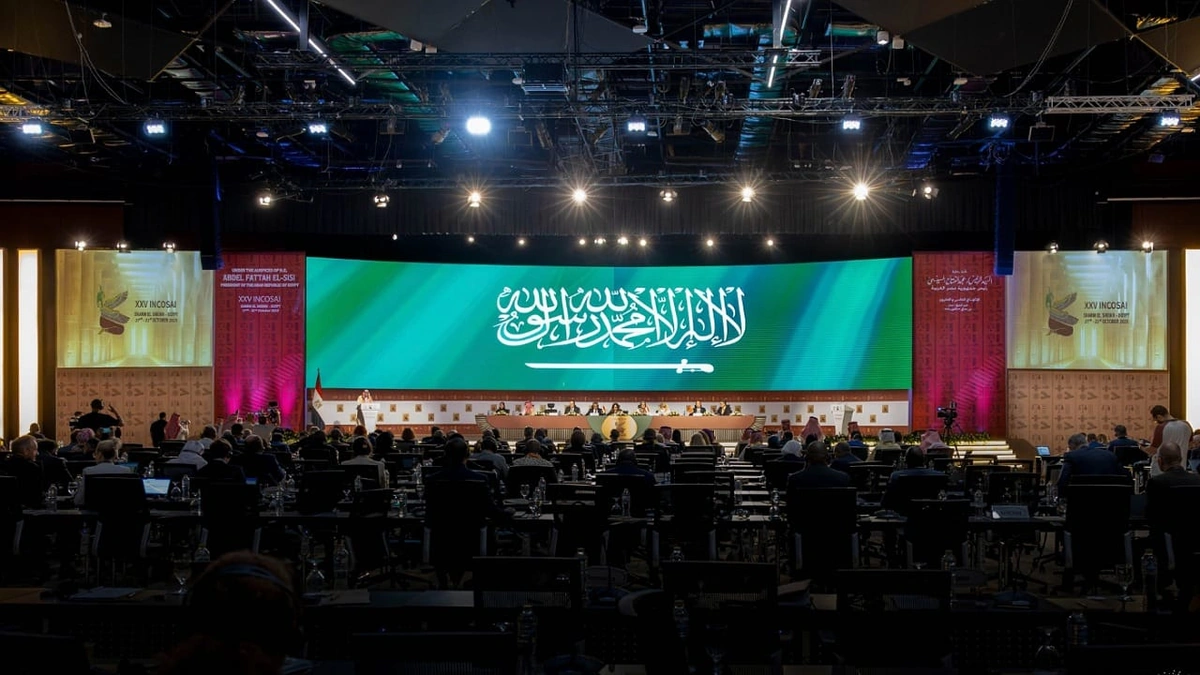 88417b98-f328-4b3f-8a34-b2cc6d574d0f.jpg 88417b98-f328-4b3f-8a34-b2cc6d574d0f.jpg