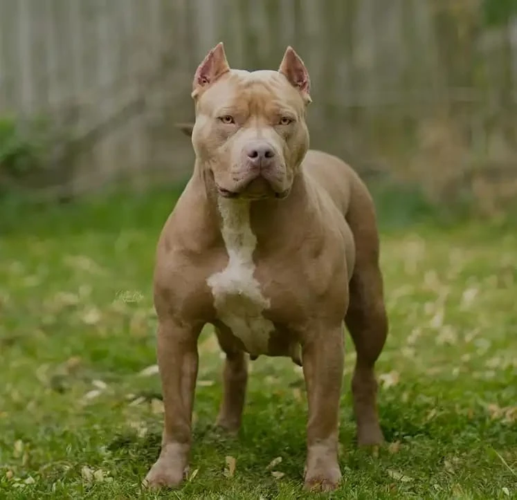 884e4c9f-c0d2-46c8-ad82-acb347e8799d.jpg 884e4c9f-c0d2-46c8-ad82-acb347e8799d.jpg