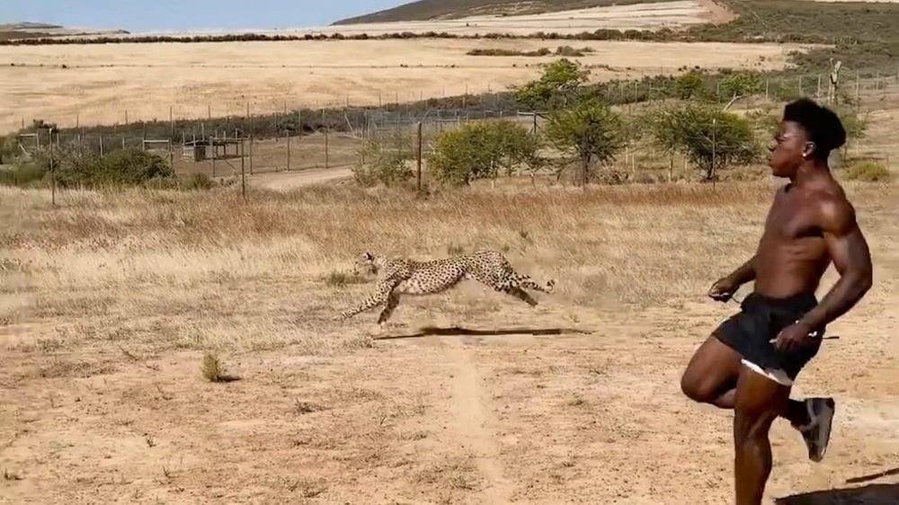 8a6c09cb-337d-4796-adfd-2008ad122541.jpg 8a6c09cb-337d-4796-adfd-2008ad122541.jpg