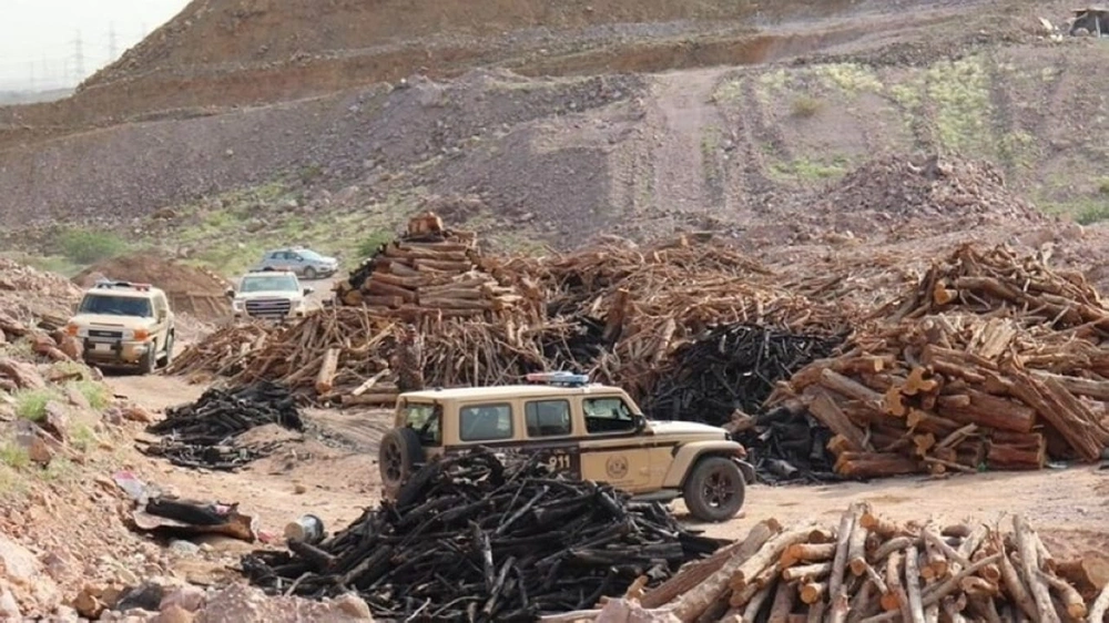 8d484a63-77f1-4cde-9043-7ab2704454cb.jpg 8d484a63-77f1-4cde-9043-7ab2704454cb.jpg